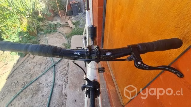 Aventon mataro