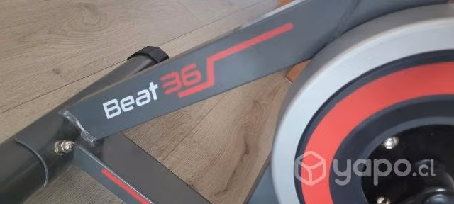 Bicicleta spinning muvo