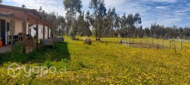 Casa en parcela, San Nicolas, Chillan, conversable