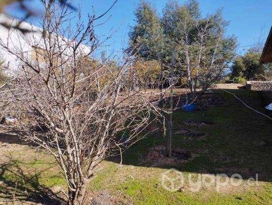Parcela con casa en Quillota, rol propio - Imagen 14