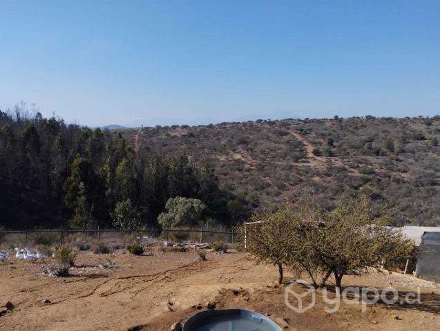 Parcela con casa en Quillota, rol propio - Imagen 12