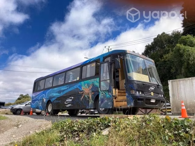 Bus- Tienda