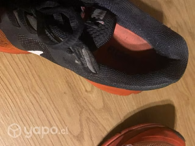 Nike Pegasus 30