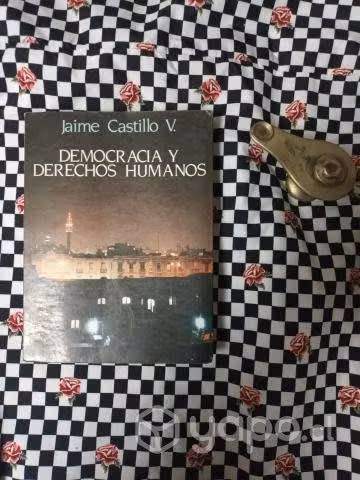 Democracia y Derechos Humanos