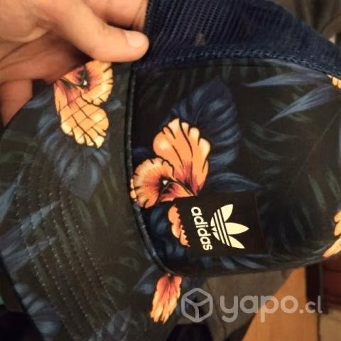 Jockey Adidas Original