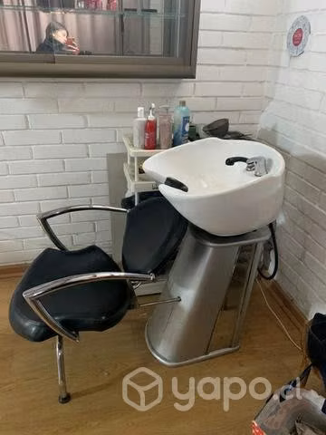 Lava pelo profesional - Imagen 2