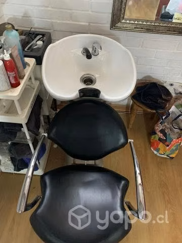 Lava pelo profesional - Imagen 4