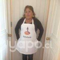 Pecheras en stock - Imagen 3