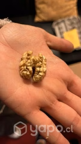Nueces tipo Mariposa Premium