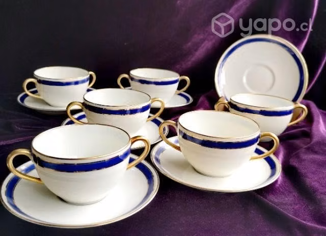 6 tazas de consomé, caldo o sopa Limoges