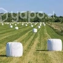 Bolos de pasto seco, paja cebada