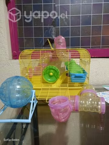 Jaula hamster