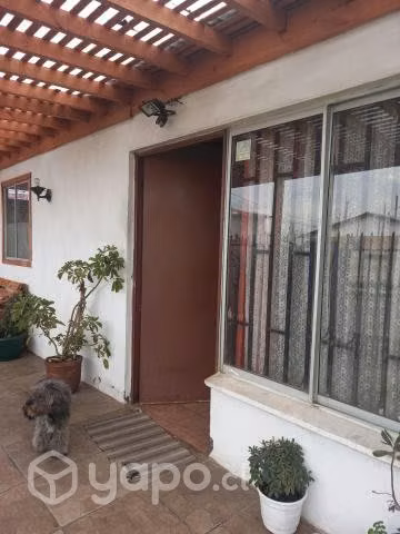 Molina casa solida - Imagen 6