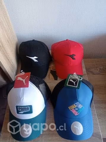 Jockey deportiva