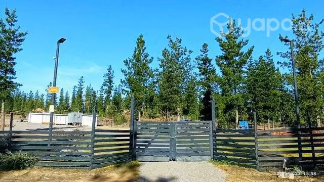 Parcela en litueche - Imagen 9