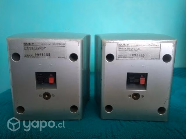 Sony parlantes surround ( 2 unidades )
