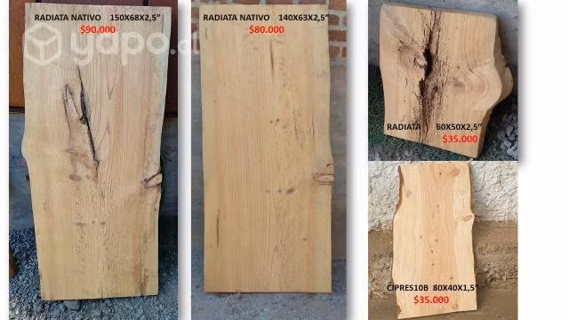 Cubiertas/muebles nogal cipres radiata 35M-90M