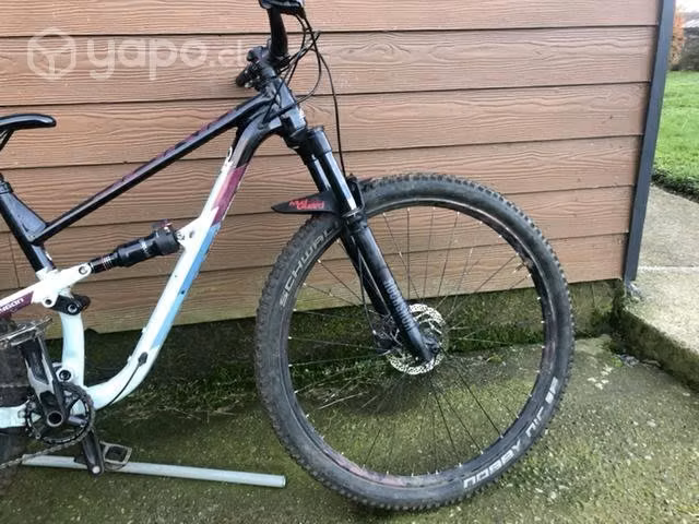 Polygon siskiu d7