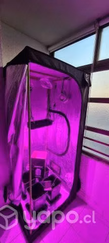Indoor Piranha Tesla T180W Completo
