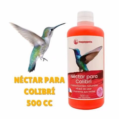 Néctar Colibrí Picaflores Jardín Aves Pajar