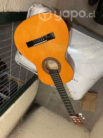 Guitarra con funda