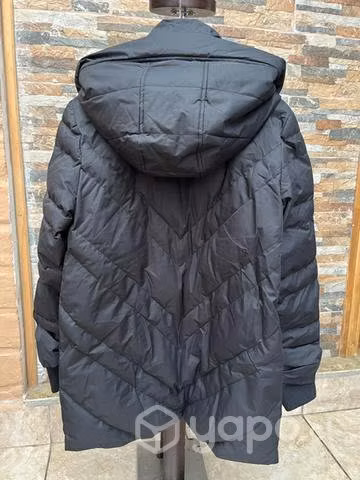 Chaqueta Americanino