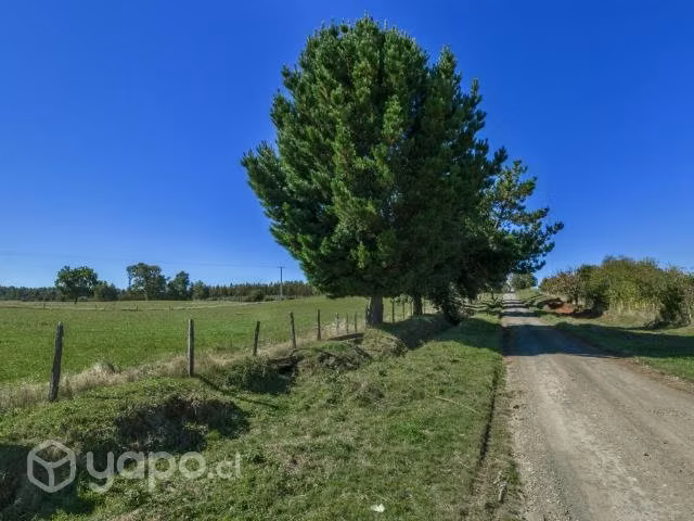 Venta de Parcela en Fresia, Llanquihue