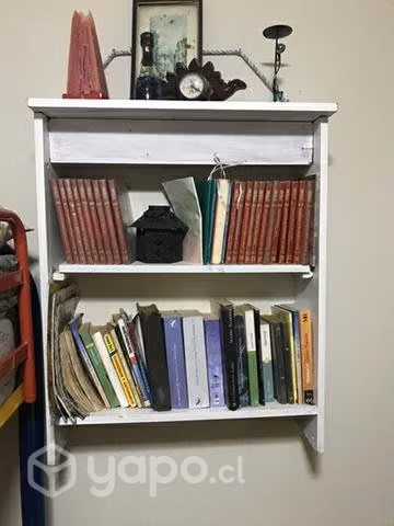 Lote de libros
