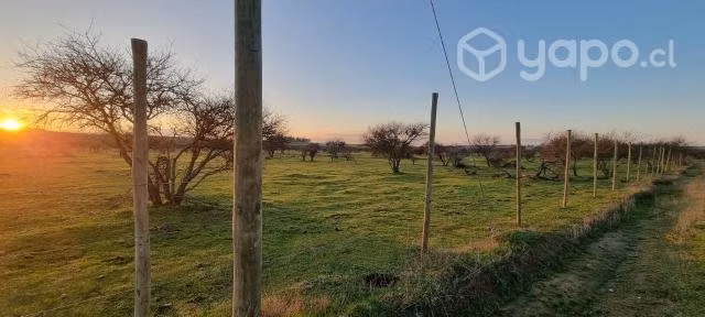Terreno - Imagen 2