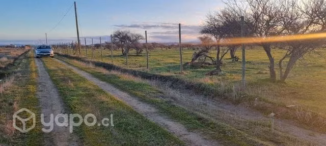 Terreno - Imagen 3