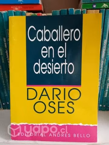 Caballero en el desierto