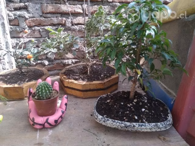 Regalos para mama
