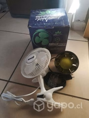 Indoor completo
