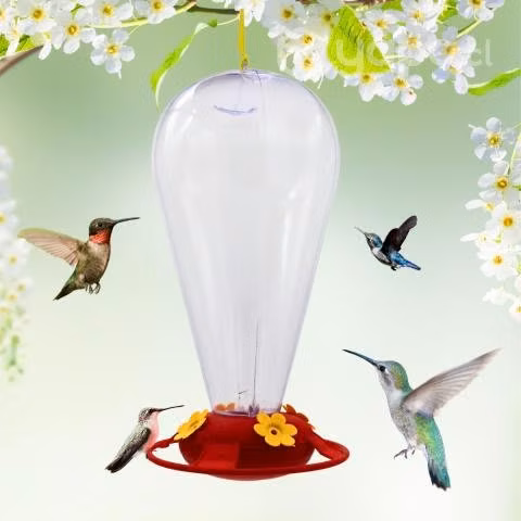 Bebedero Colibrí Néctar Picaflor Jardín Pajaritos - Imagen 5