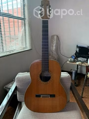 Guitarra Japonesa MAXWIN - (made in Japan)