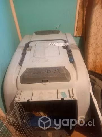 Canil para perros