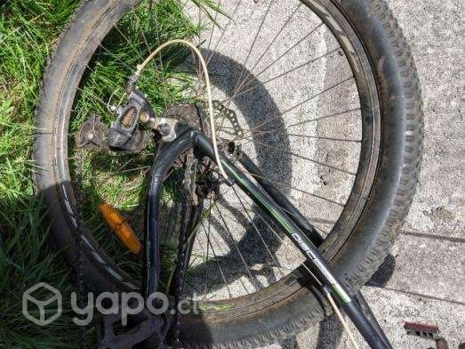 Bicicleta Bianchi - Imagen 5