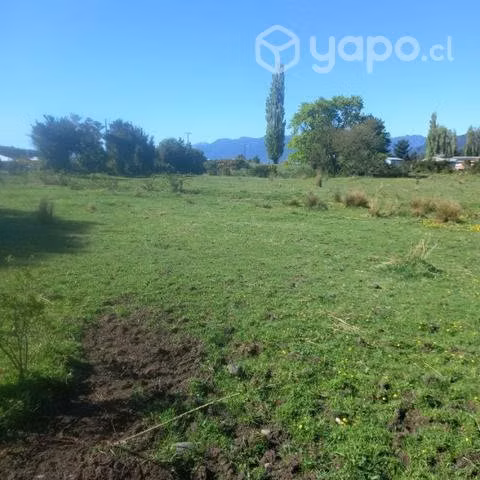 Campo carretera austral - Imagen 2