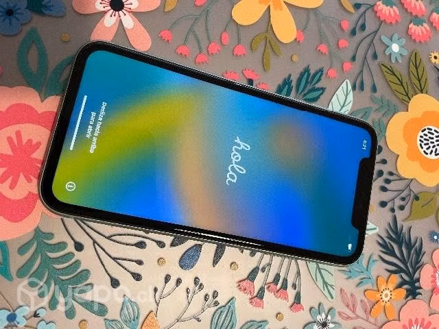 IPhone 11 64 g (uso: 11 meses aprox)