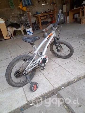 Bicicleta