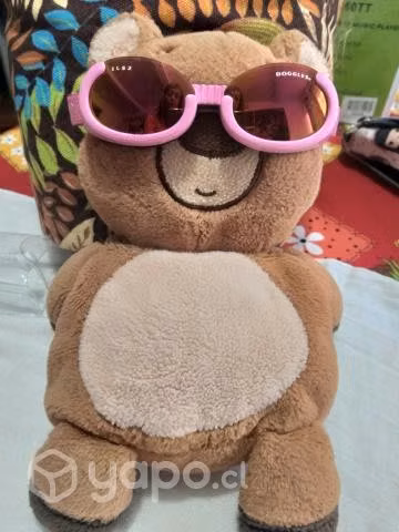Lentes de sol para perritos