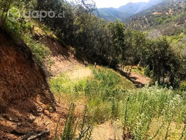 Parcela en medio de la naturaleza