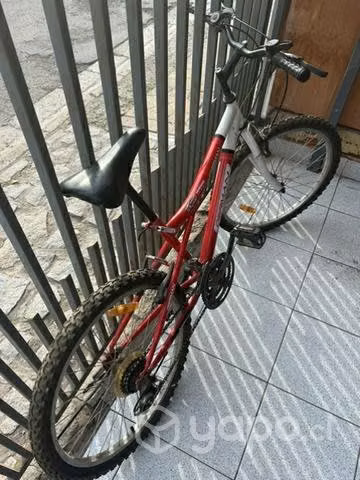 Bicicletas Trek y Derman - Imagen 2