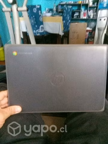 Chromebook hp