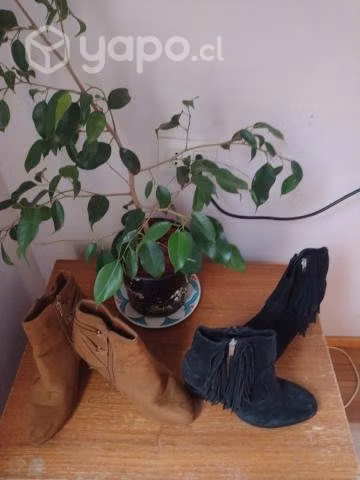 Botines