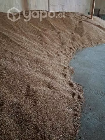 Saco de trigo limpio 25 kg de OSORNO
