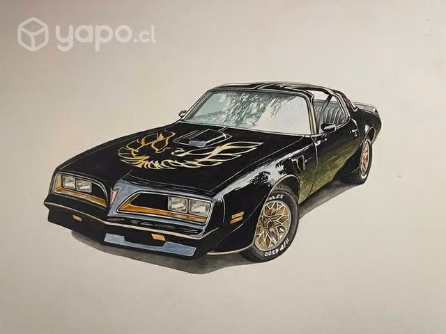 Cuadro, marco, pintura de tu auto