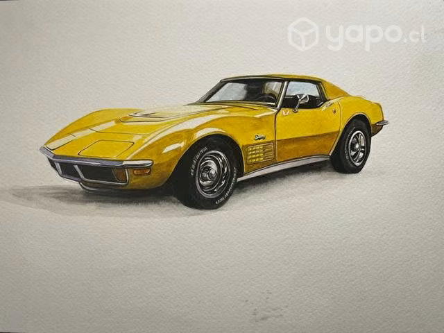 Cuadro, marco, pintura de tu auto - Imagen 5