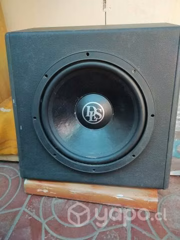 Subwoofer DLS - Imagen 2
