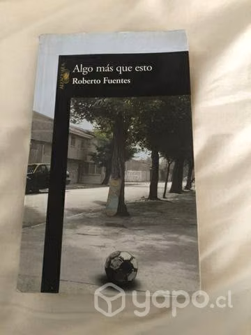 Algo más que esto- Roberto Fuentes